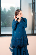 3 Piece Stiched Deep Pakistani Raw Silk Suit (Pret)